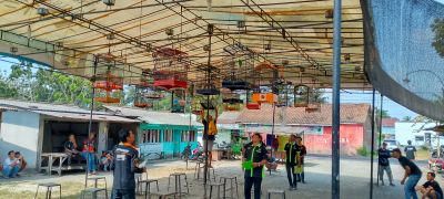 Lomba Burung Kadus Cup 2